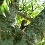 image03